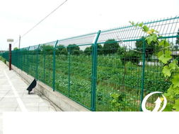 安平县兴泰达公路护栏网 品质与安全的不二之选