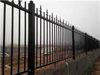 河北安平烨琦丝网 多样化护栏制品，构筑安全与美观的防护屏障
